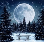 Full Hunger Moon ~ Love Fiercely — Starz Psychics spiritual blog, psychic insights