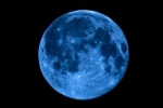 Full Hunter's Blue Moon - Horns Of The Beast — Starz Psychics spiritual blog, psychic insights