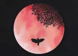 Full Pink Moon ~ Exiled Herds