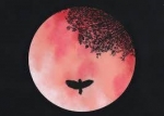 Full Pink Moon ~ Exiled Herds — Starz Psychics spiritual blog, psychic insights