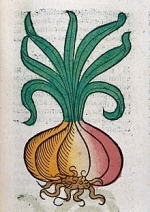 March Gardening Tips — Starz Psychics spiritual blog, psychic insights