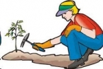 September Gardening — Starz Psychics spiritual blog, psychic insights