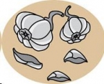 10 Incredible Garlic Hacks — Starz Psychics spiritual blog, psychic insights