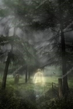 The 10 Most Common Signs From Deceased Loved Ones — Starz Psychics spiritual blog, psychic insights
