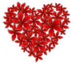 Luv Is In The Air.............Valentines Day Special - Thru Feb 17th — Starz Psychics spiritual blog, psychic insights