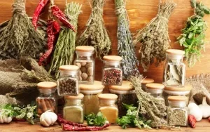 A Beginners Guide to Working with Herbs