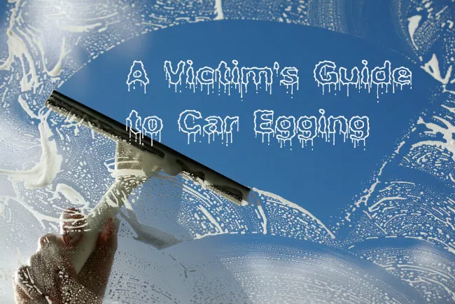 A Victim’s Guide to Washing Away the Classic Halloween Car Egging