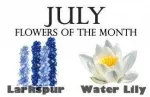July's Birth Flowers