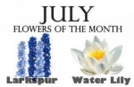 July's Birth Flowers — Starz Psychics spiritual blog, psychic insights