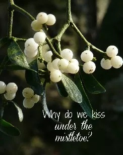 The History of Mistletoe – The Kissing Plant