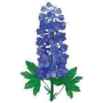 July's Birth Flowers — Starz Psychics spiritual blog, psychic insights