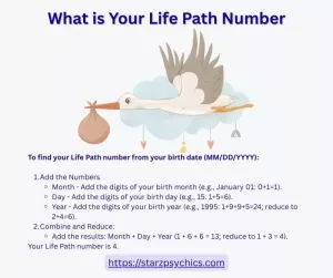 Life Path Number