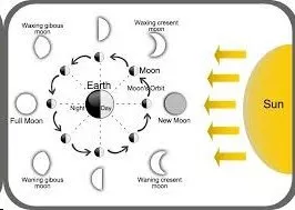 Under What Moon Phase Were You Born?