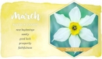 March Birth Flower — Starz Psychics spiritual blog, psychic insights