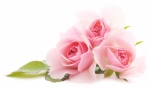 HAPPY MOTHER'S DAY FROM THE STARZ !!!! — Starz Psychics spiritual blog, psychic insights