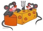 Wacky Ways to Keep Mice Away — Starz Psychics spiritual blog, psychic insights