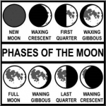 What Moon Phase Were You Born On? — Starz Psychics spiritual blog, psychic insights