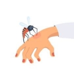 Why Do Mosquitoes Bite Me And Not My Friend? — Starz Psychics spiritual blog, psychic insights