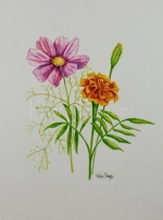 What Are The Birth Flowers For October? — Starz Psychics spiritual blog, psychic insights