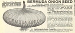 Remembering When Bermuda Was an Onion Island — Starz Psychics spiritual blog, psychic insights