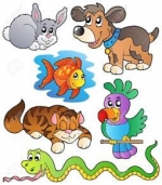 Animal Experts Reveal What Your Choice Of Pet Says About Your Personality — Starz Psychics spiritual blog, psychic insights