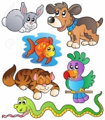 Pets by Zodiac Sign — Starz Psychics spiritual blog, psychic insights