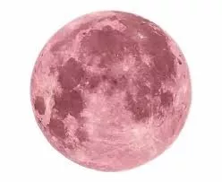Full Pink Moon – Illness & Infection