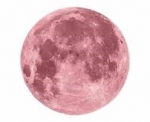 Full Pink Moon – Illness & Infection — Starz Psychics spiritual blog, psychic insights