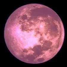 Full Pink Moon