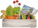Not Too Late To Plant! — Starz Psychics spiritual blog, psychic insights