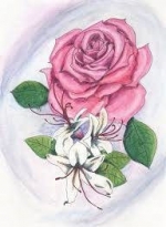 June Birth Flowers — Starz Psychics spiritual blog, psychic insights