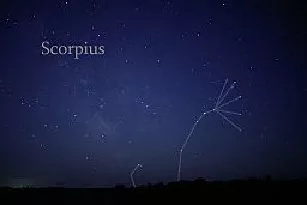 Scorpius:  All the Facts