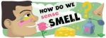 Cold-Induced Pain Linked To The Garlic, Mustard Receptor   — Starz Psychics spiritual blog, psychic insights