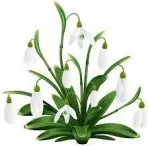 Snowdrops - Harbingers of Better Things to Come