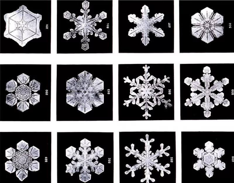 The Microphotographic Wonders of Vermont’s ‘Snowflake Man'