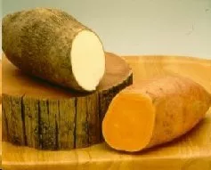 The Difference Between Sweet Potatoes and Yams  