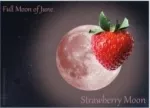 Full Strawberry Moon  ~ Extremists!