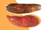 Sweet Potatoes vs Yams: What’s the Difference?  