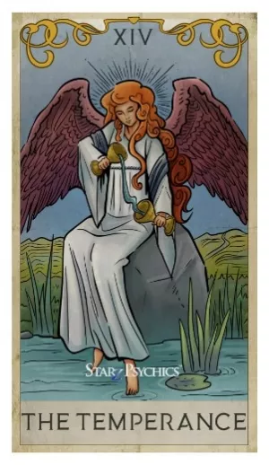 Tarot Card of the Day -  The Temperance