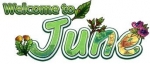 June Thoughts — Starz Psychics spiritual blog, psychic insights