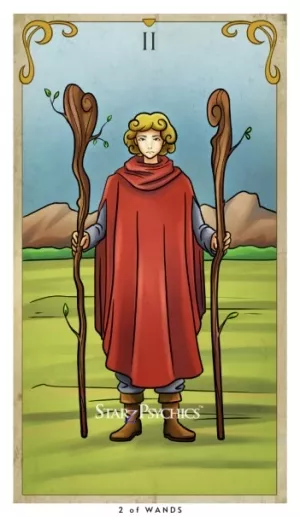 Tarot Card of the Day - Two of Wands