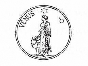 Venus in the Houses — Starz Psychics spiritual blog, psychic insights