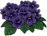 February Birth Flower — Starz Psychics spiritual blog, psychic insights