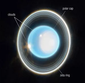 Uranus Is Luminous and Ringed in New Webb Telescope Image 