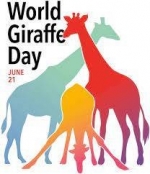 World Giraffe Day — Starz Psychics spiritual blog, psychic insights