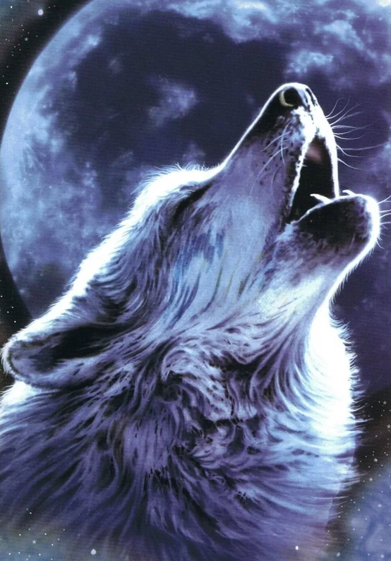 Full Wolf Moon/Super Moon