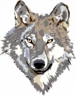 The First Animal You See Can Tell You A Lot About Your Personality   — Starz Psychics spiritual blog, psychic insights