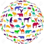 The World’s Most Intelligent Animals — Starz Psychics spiritual blog, psychic insights