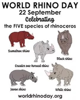 World Rhino Day 