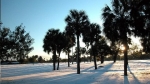 10 Facts About Snow That Might Surprise You — Starz Psychics spiritual blog, psychic insights